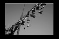 /album/fotografie/img-9817-b-jpg/