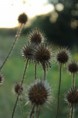 /album/fotografie/img-0032-jpg/