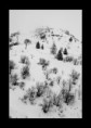 /album/fotografie/img-6685-bw-a-jpg/