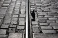 /album/fotografie/img-6456-jpg/